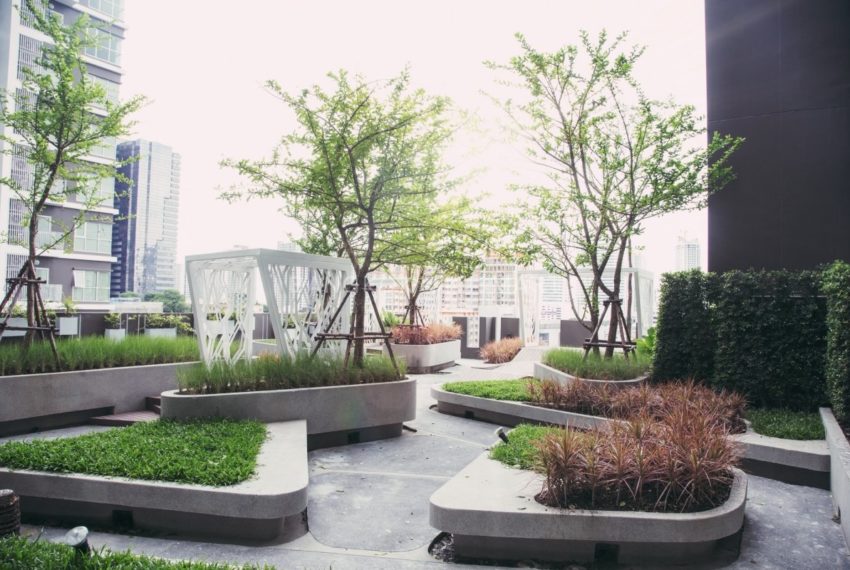 Aspire Rama 9 condominium - garden