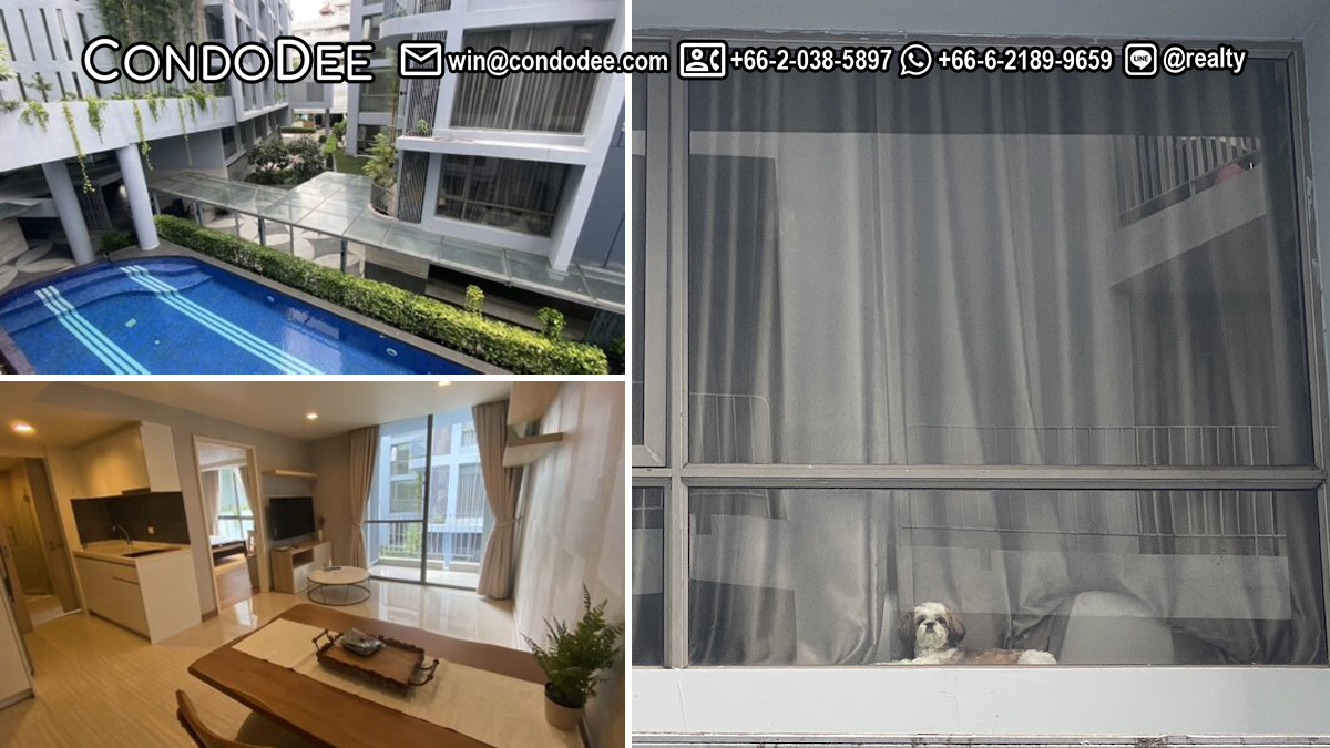 A affordable pet-friendly condo in Bangkok for sale is available now in Downtown Forty-Nine condominium on Sukhumvit 49 in Bangkok CBD