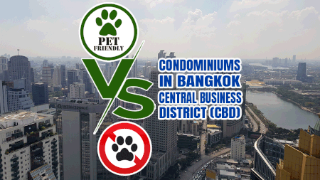 Pet-Friendly Condominiums In Bangkok CBD (Central Business District)