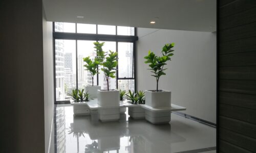 Condominium for rent near Asoke BTS - 1-Bedroom - Premium Furniture