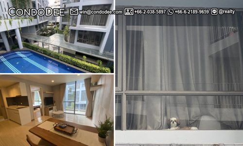A affordable pet-friendly condo in Bangkok for sale is available now in Downtown Forty-Nine condominium on Sukhumvit 49 in Bangkok CBD