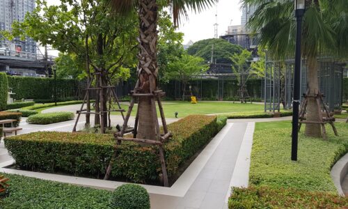 Q Asoke Condominium - entrance garden