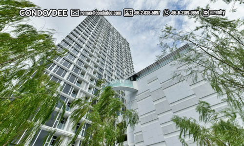 Siamese Exclusive Sukhumvit 31 Condominium in Asoke
