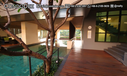 The Room Sukhumvit 21 condo sale Bangkok poolside