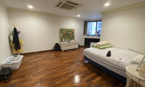Large Bangkok condo with 2 living rooms - river view - top floor - President Park Sukhumvit 24