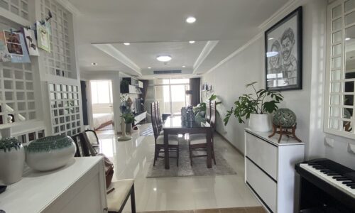Penthouse with a park and river view for sale - duplex - near MRT - SALE with TENANT - Monterey Place