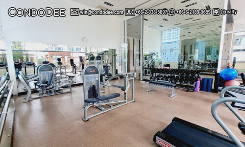 Ideal 24 condo for sale on Sukhumvit 24 is a luxury pet-friendly condo for sale in Bangkok CBD