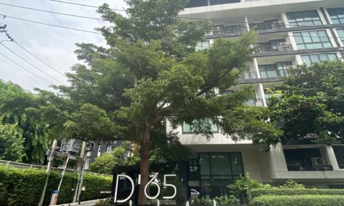 D 65 Condominium Near BTS Ekkamai