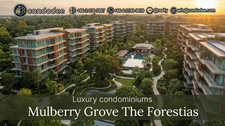 Mulberry Grove The Forestias for sale in Bang Na | ขายคอนโด มัลเบอร์รี่โกรฟ เดอะ ฟอเรสเทียส์ บางนา